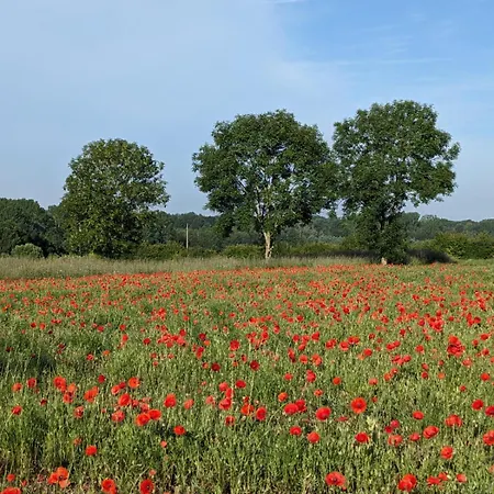 Alpesi faház Le Coquelicot - Avec *