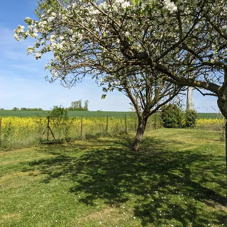 Le Coquelicot - Avec *