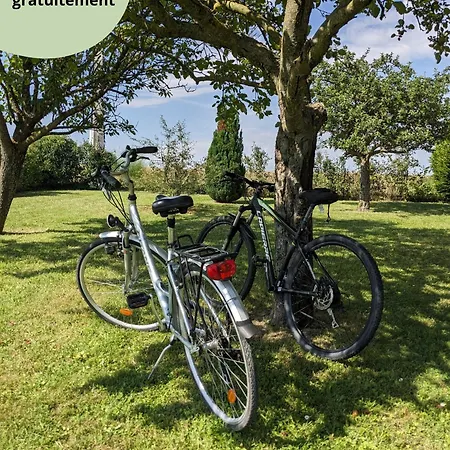 Le Coquelicot - Avec